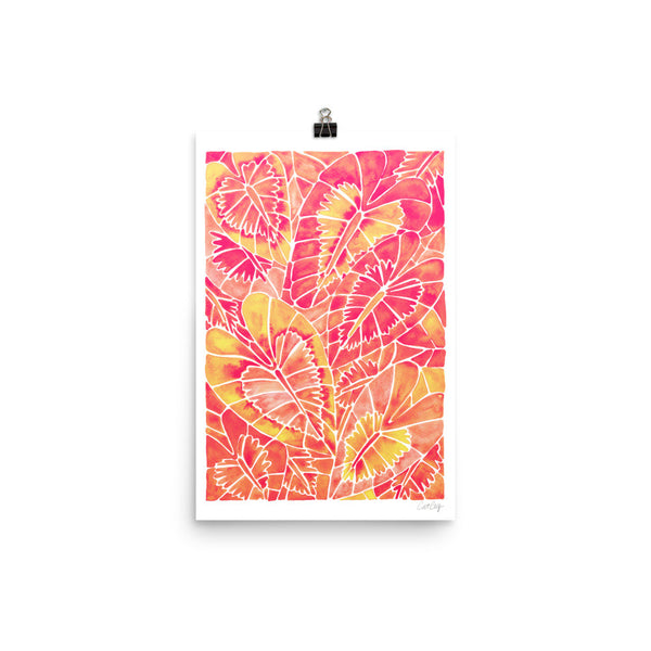 Schismatoglottis Calyptrata – Pink Palette • Art Print