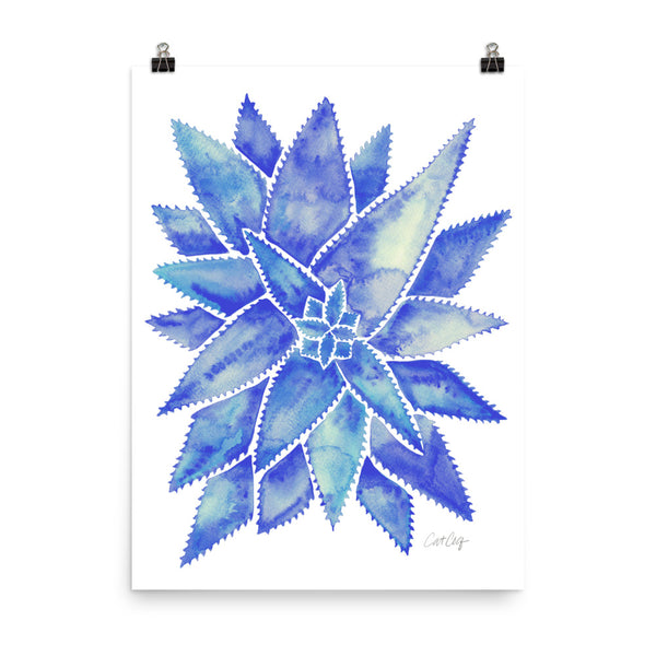 Aloe Vera - Blue