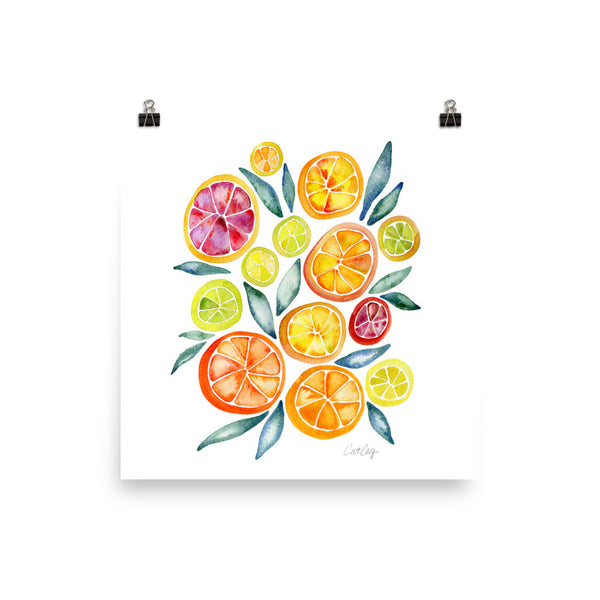Citrus Slices • Art Print