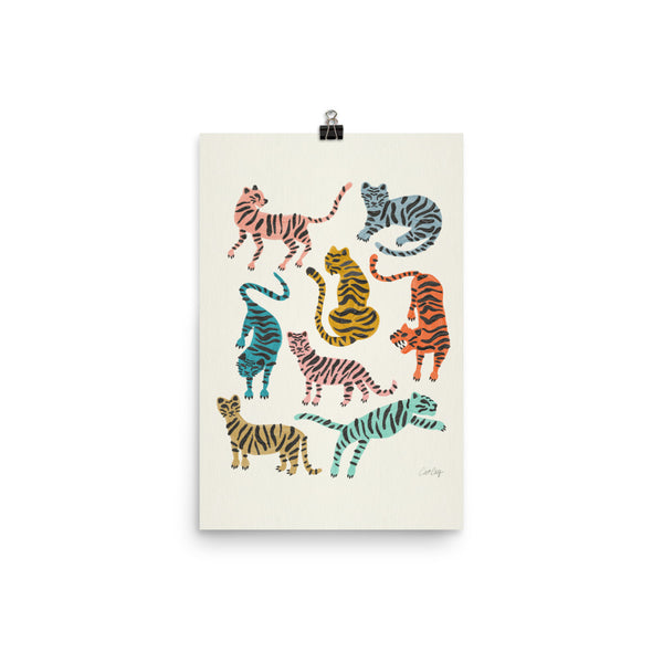 Tiger Collection - Retro Rainbow