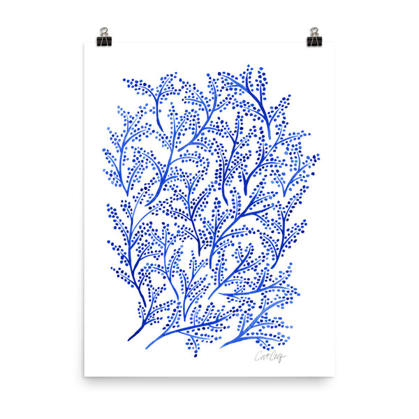 Branches - Navy