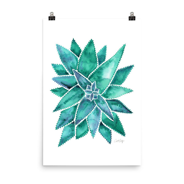 Aloe Vera - Turquoise