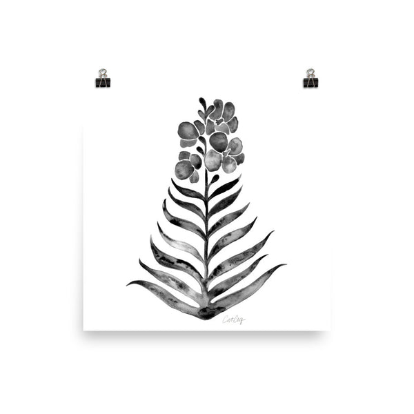 Black Orchid Bloom • Art Print