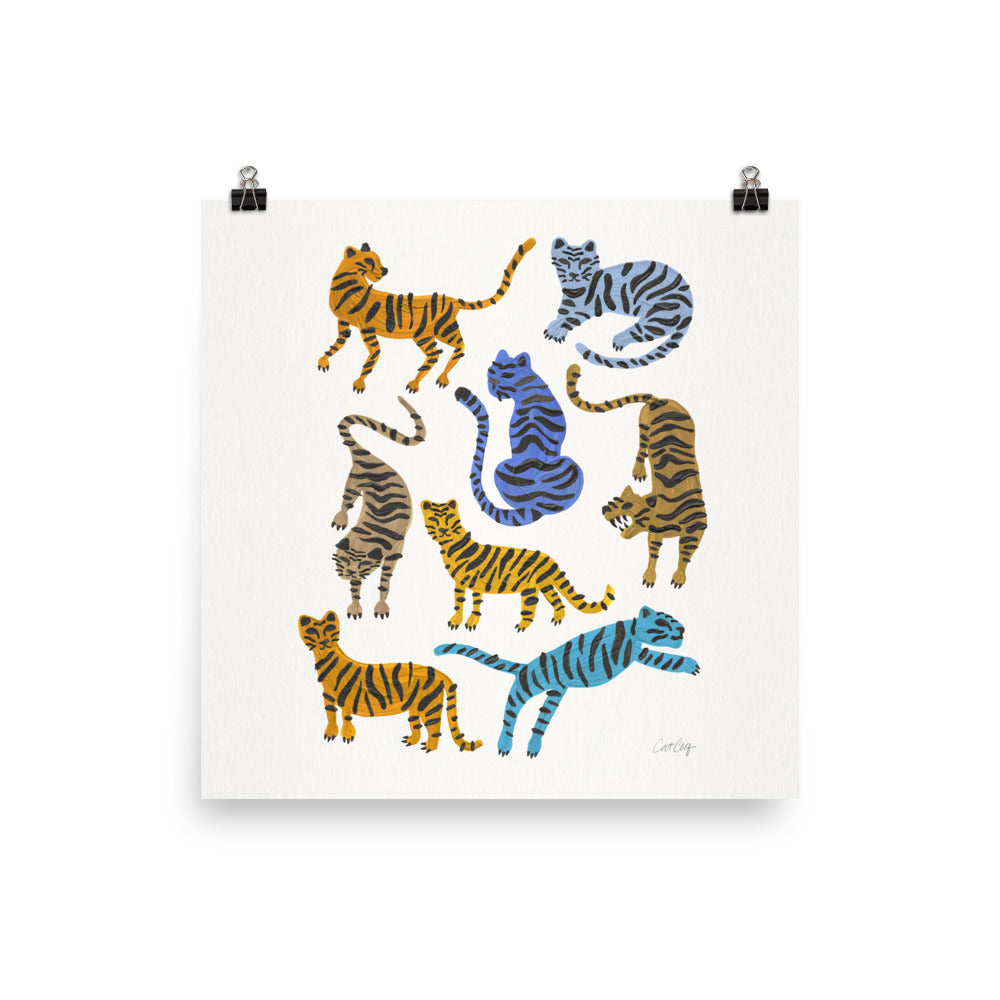Tiger Collection - Blue & Tan