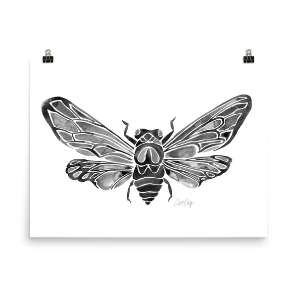 Summer Cicada – Black Palette • Art Print