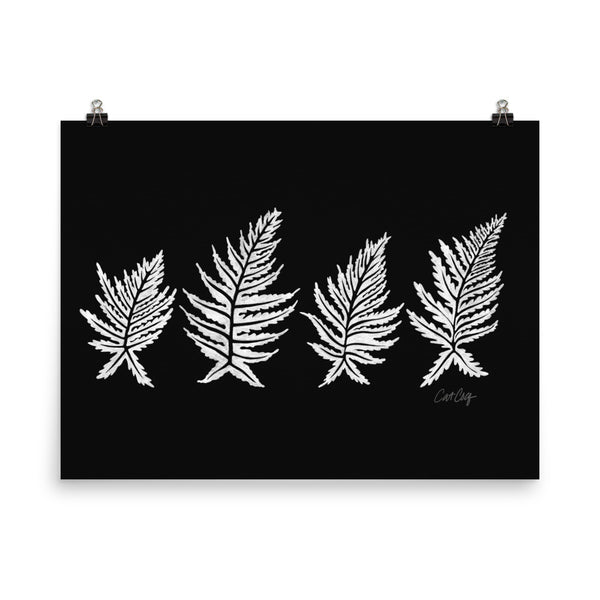 Inked Ferns – White Ink on Black • Art Print