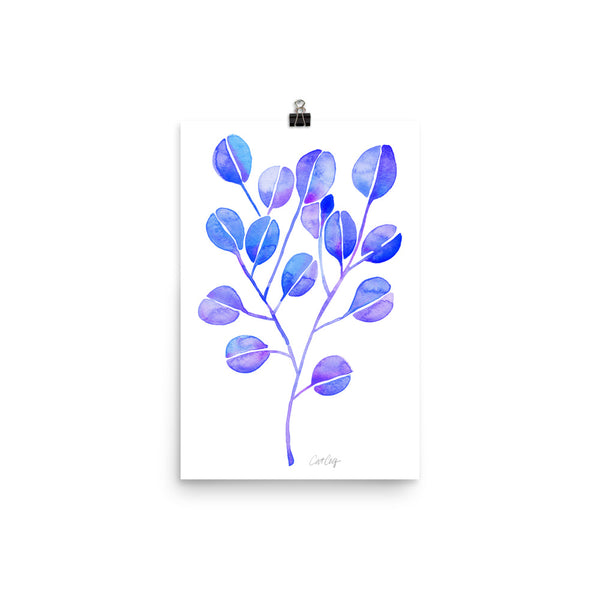 Eucalyptus - Periwinkle
