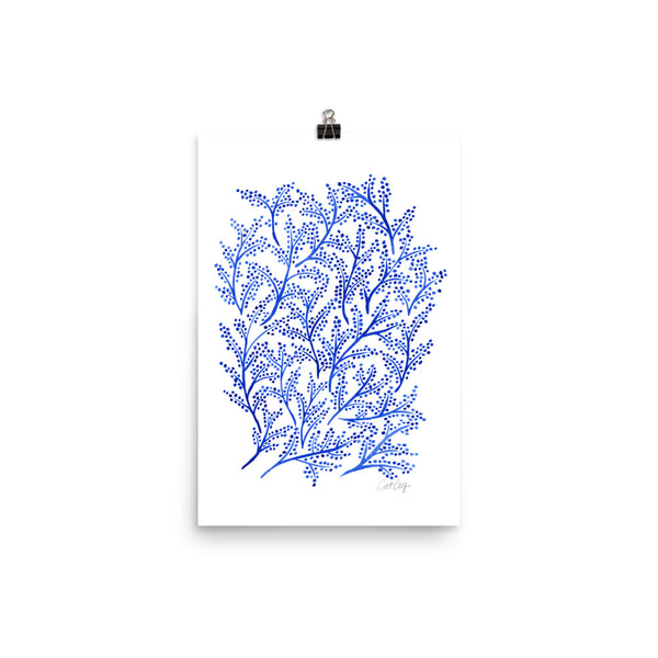 Branches - Navy