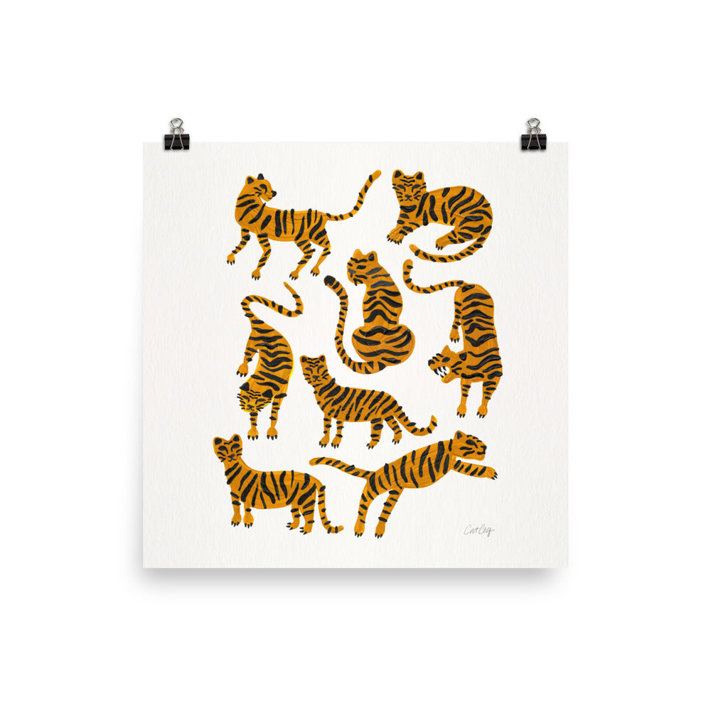 Tiger Collection - Orange