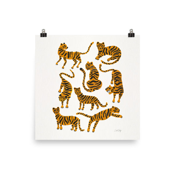 Tiger Collection - Orange