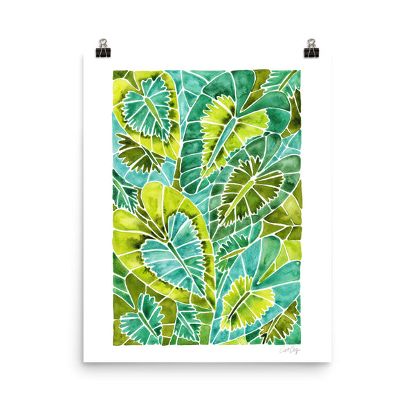 Schismatoglottis Calyptrata – Green Palette • Art Print