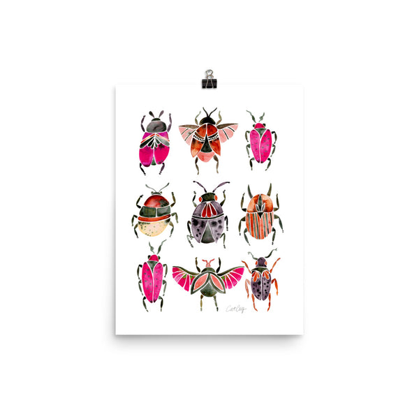 Beetle Collection - Pink Black