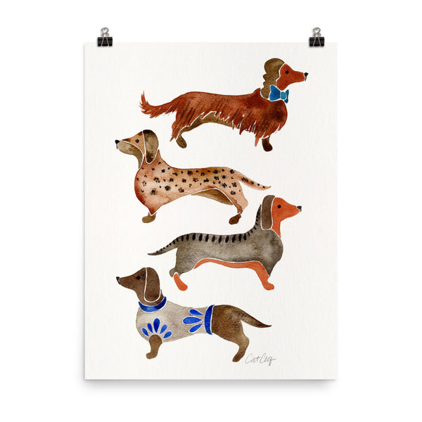 Dachshunds – White Background • Art Print