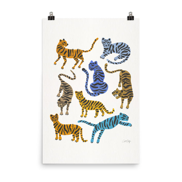Tiger Collection - Blue & Tan