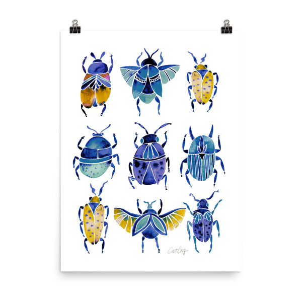 Beetle Collection - Blue Yellow