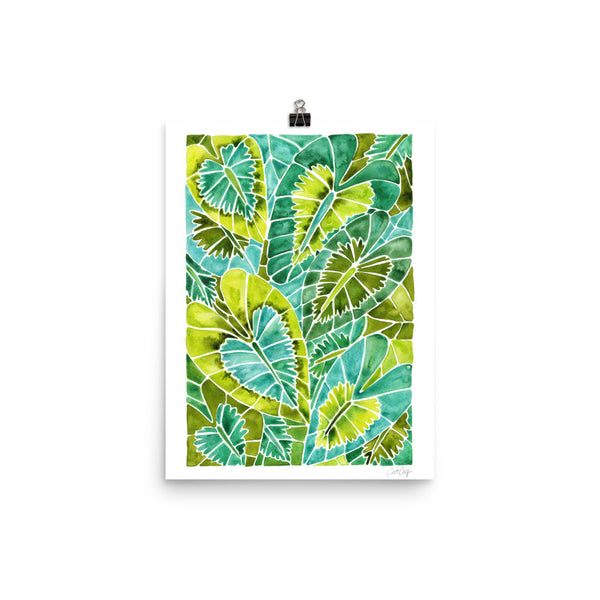 Schismatoglottis Calyptrata – Green Palette • Art Print