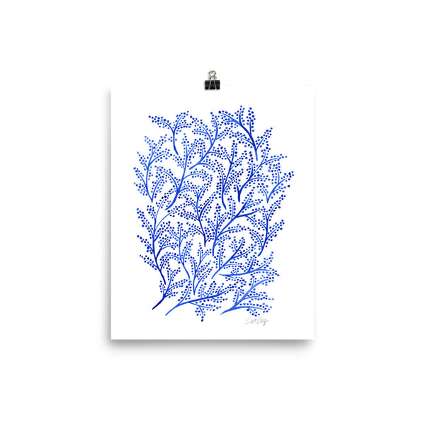 Branches - Navy