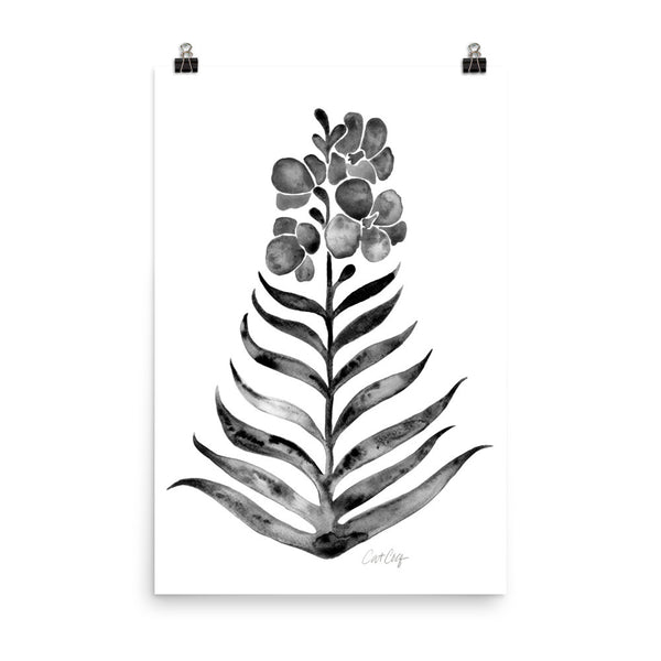 Black Orchid Bloom • Art Print