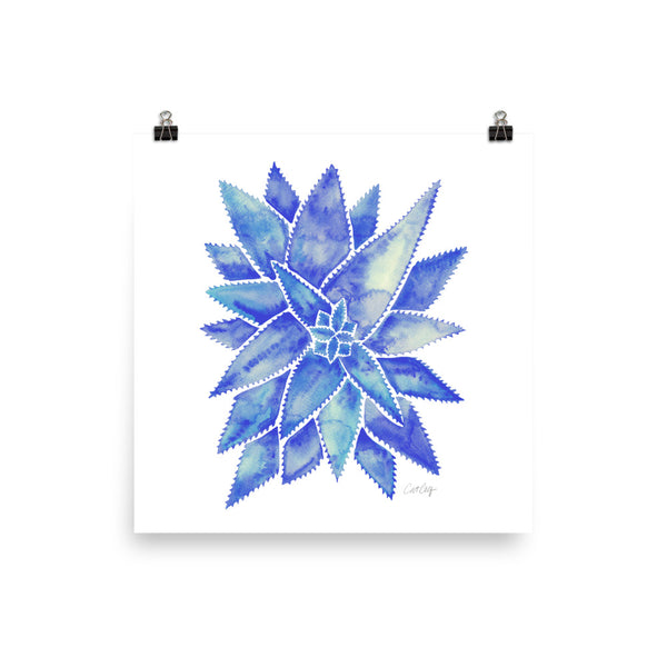 Aloe Vera - Blue