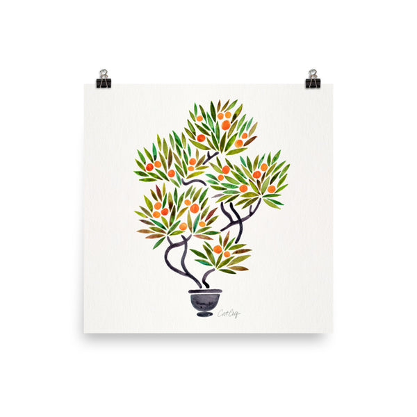 Bonsai Fruit Tree – Little Oranges • Art Print