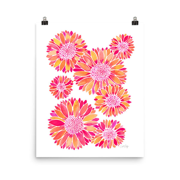 Sunflower Blooms – Pink