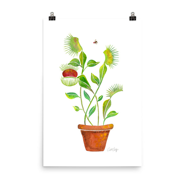 Venus Fly Trap • Art Print