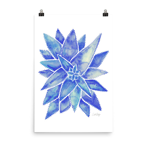 Aloe Vera - Blue