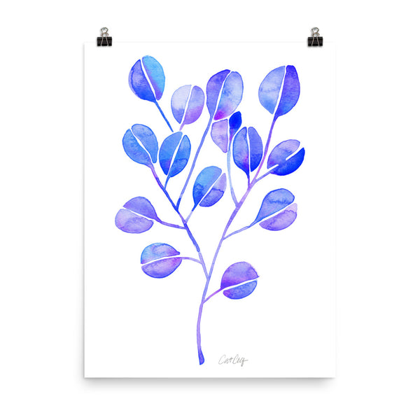 Eucalyptus - Periwinkle