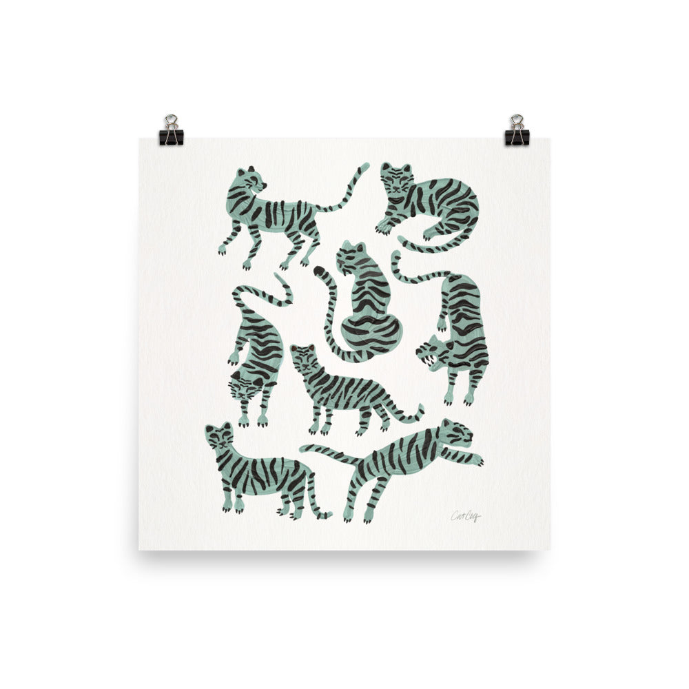 Tiger Collection - Mint