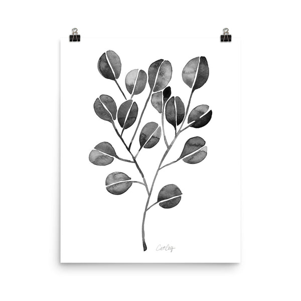 Eucalyptus - Black