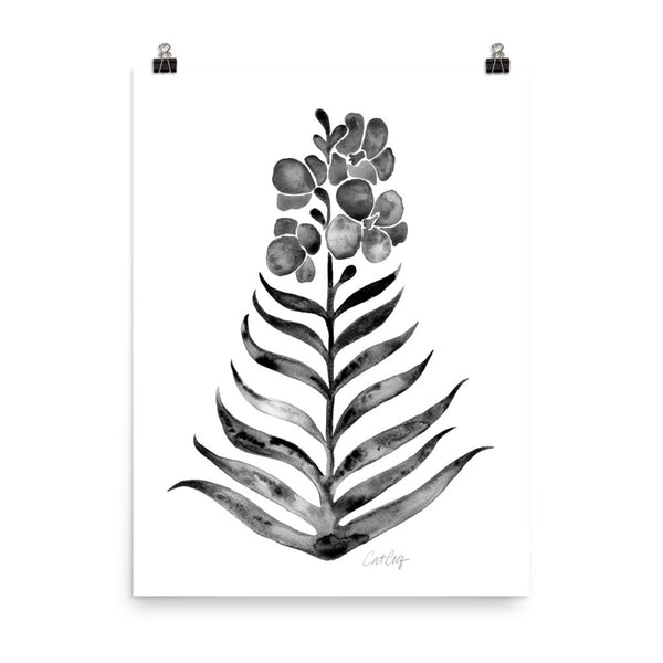 Black Orchid Bloom • Art Print