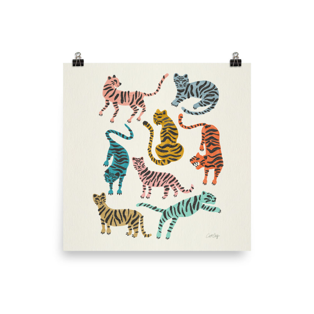 Tiger Collection - Retro Rainbow