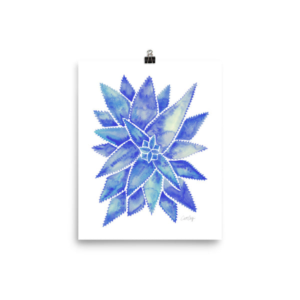 Aloe Vera - Blue