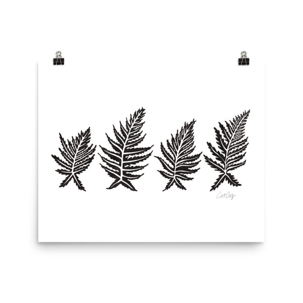 Inked Ferns – Black Ink • Art Print