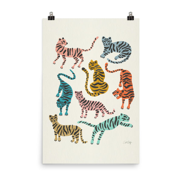Tiger Collection - Retro Rainbow