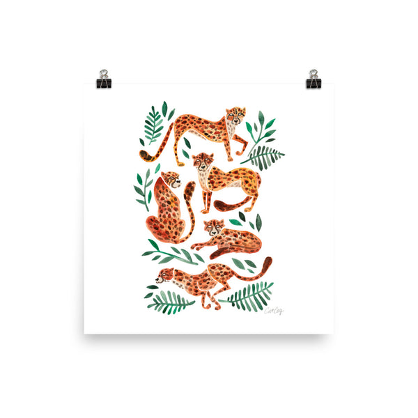 Cheetah Collection - Orange