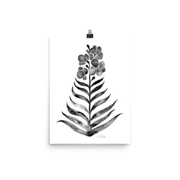 Black Orchid Bloom • Art Print