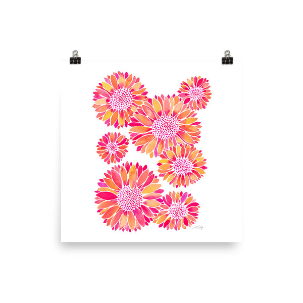 Sunflower Blooms – Pink