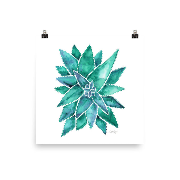 Aloe Vera - Turquoise