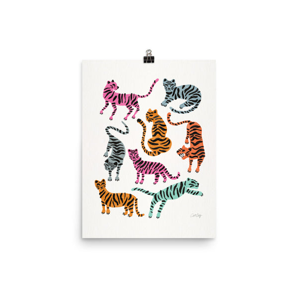 Tiger Collection - Pink & Blue