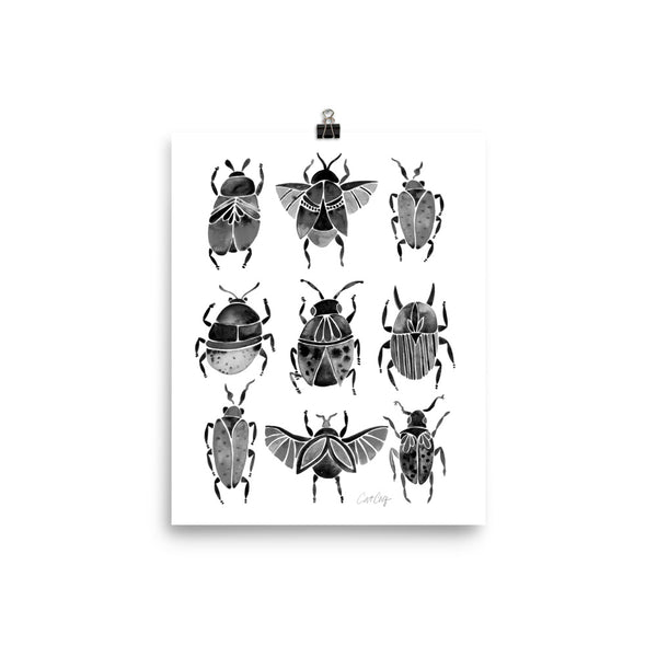 Beetle Collection - Black
