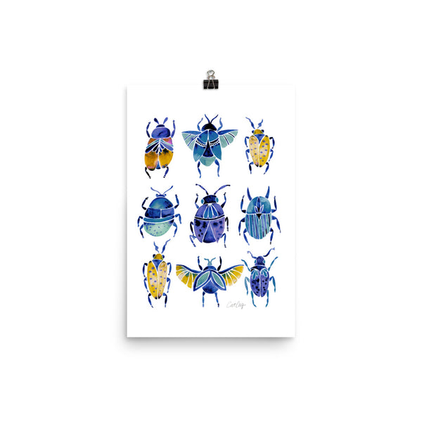 Beetle Collection - Blue Yellow