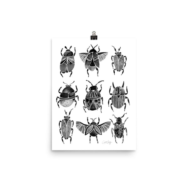 Beetle Collection - Black