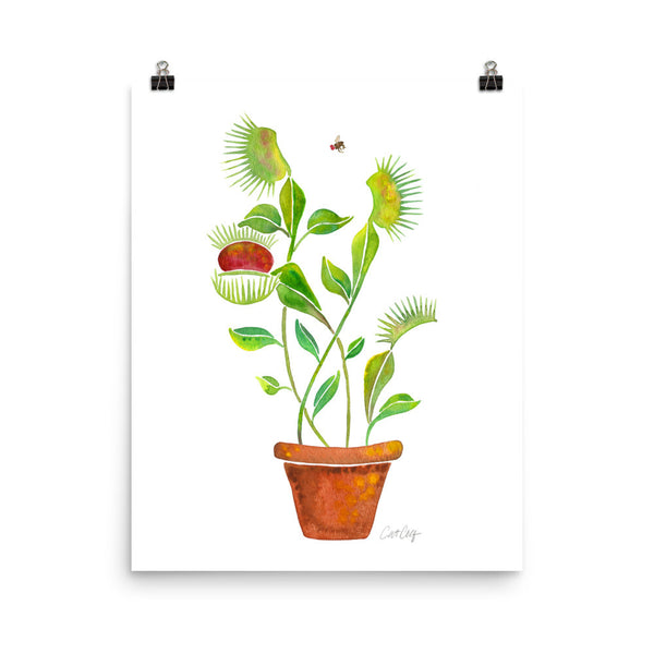 Venus Fly Trap • Art Print