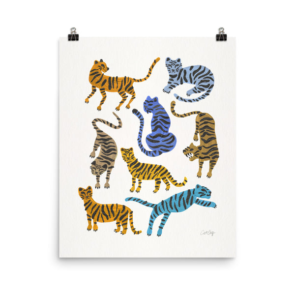 Tiger Collection - Blue & Tan