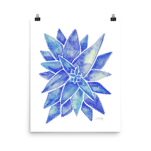 Aloe Vera - Blue