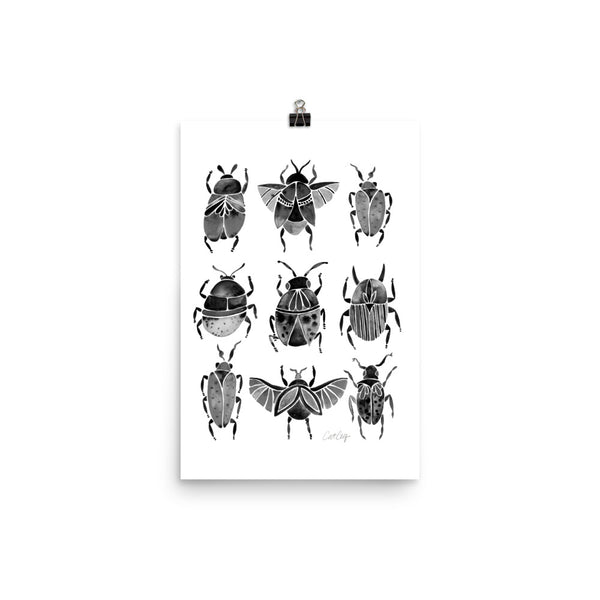 Beetle Collection - Black