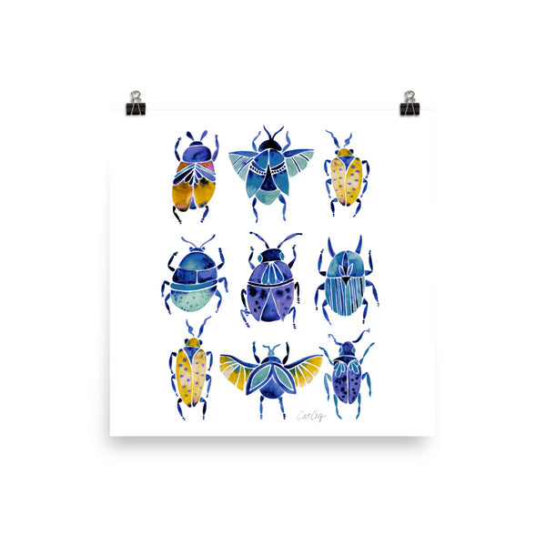 Beetle Collection - Blue Yellow