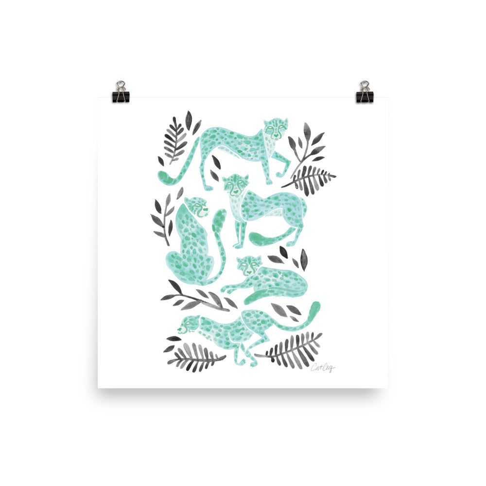 Cheetah Collection - Mint Black