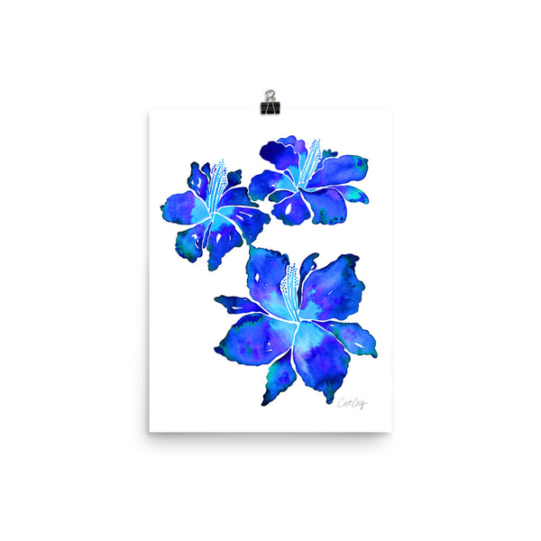 Iris Blooms – Blue